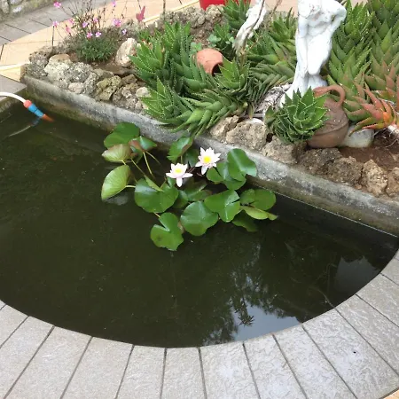 In 2 To 3 Persons With Large Private Garden Capoliveri