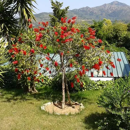 In 2 To 3 Persons With Large Private Garden Апартаменты Каполивери