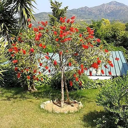 In 2 To 3 Persons With Large Private Garden 카폴리베리