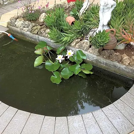 아파트 In 2 To 3 Persons With Large Private Garden 카폴리베리