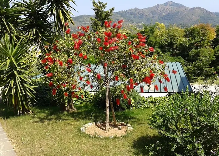 In 2 To 3 Persons With Large Private Garden Διαμέρισμα Capoliveri (Isola d'Elba)