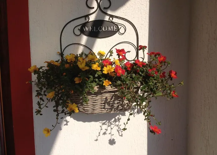 In 2 To 3 Persons With Large Private Garden *